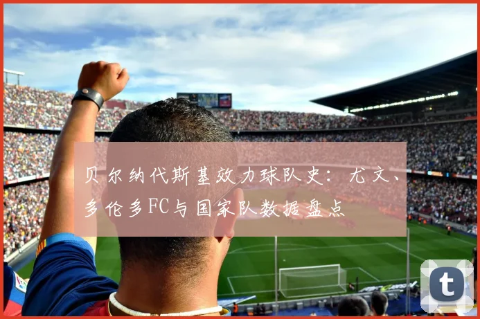 贝尔纳代斯基效力球队史：尤文、多伦多FC与国家队数据盘点