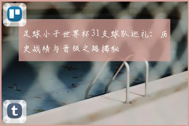足球小子世界杯31支球队巡礼：历史战绩与晋级之路揭秘