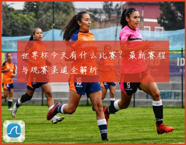 世界杯今天有什么比赛?最新赛程与观赛渠道全解析