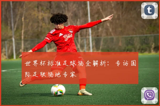 世界杯标准足球场全解析：专访国际足联场地专家