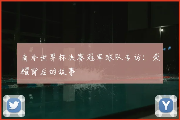 南非世界杯决赛冠军球队专访:荣耀背后的故事