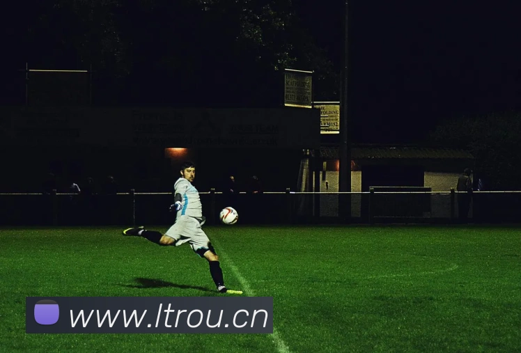 leyu乐鱼在线官网平台生态图