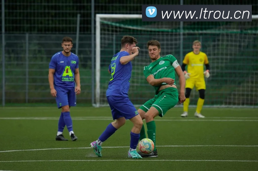 辅助工具 辅助工具